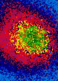 X-ray speckle revealing nanoscale spin dynamics